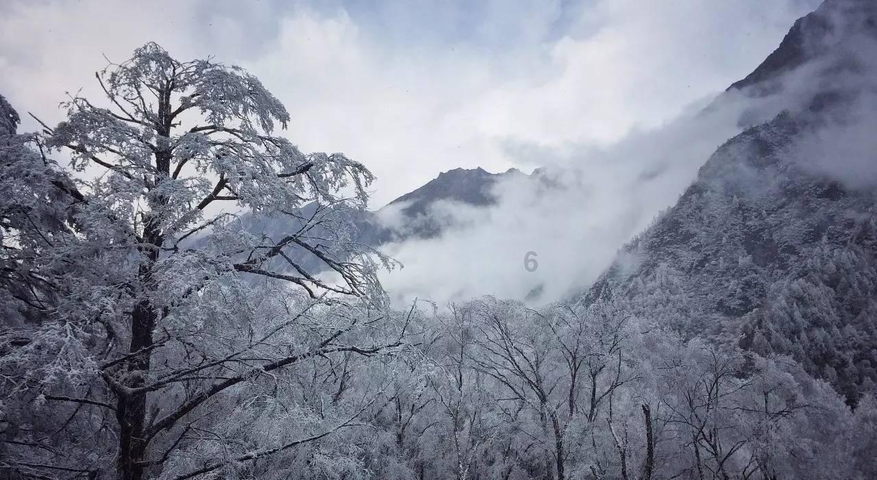 酷老师的教室