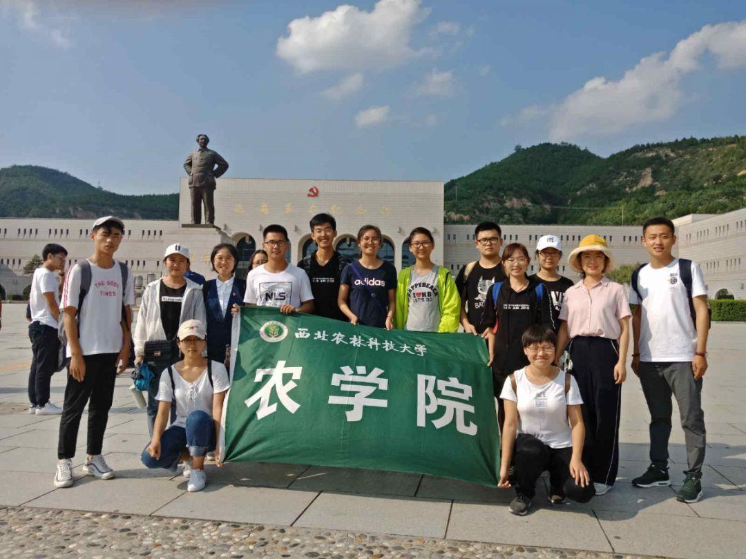 星球守卫战