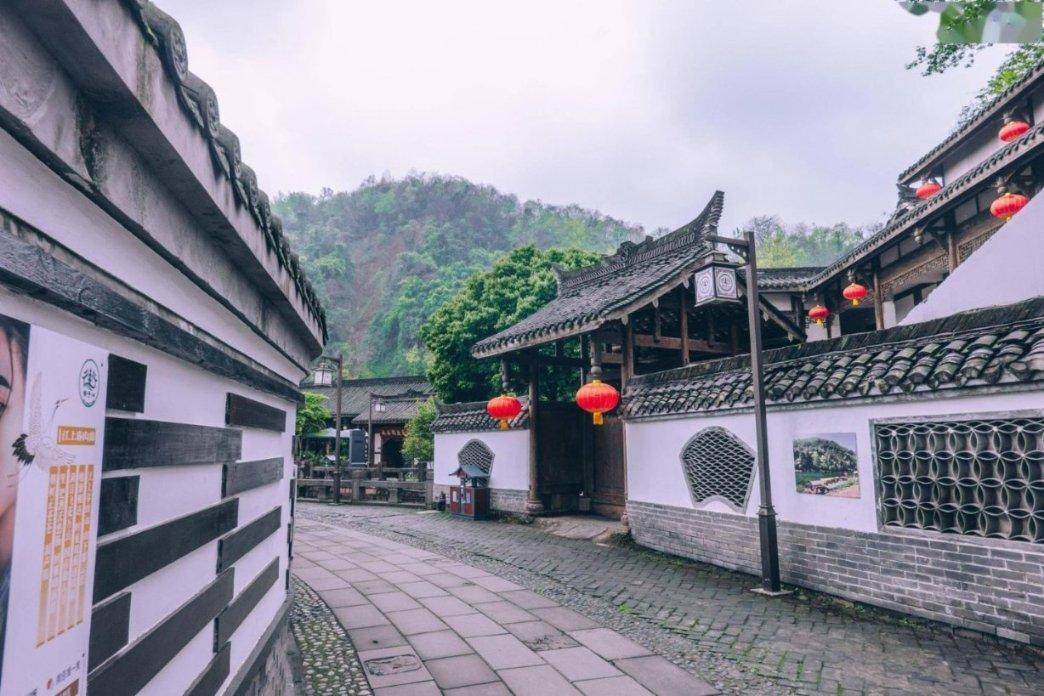 植物大战僵尸8